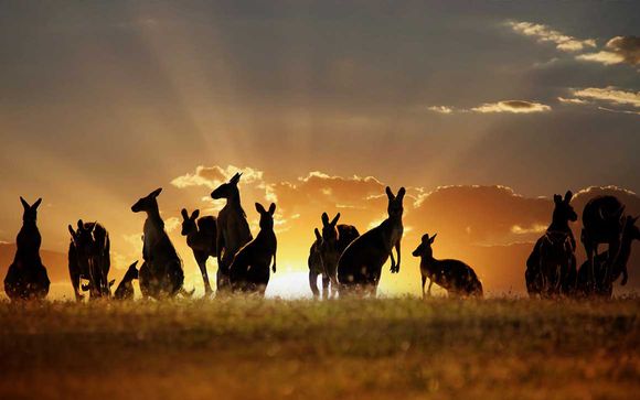 Rendez-vous... en Australie