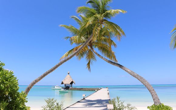 Hôtel Canareef Resort Maldives 4*