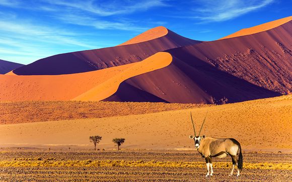 Circuit Images de Namibie en 10 nuits