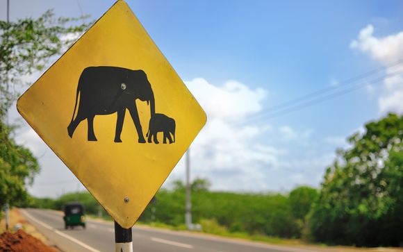 Nos petites astuces pour un séjour idéal
