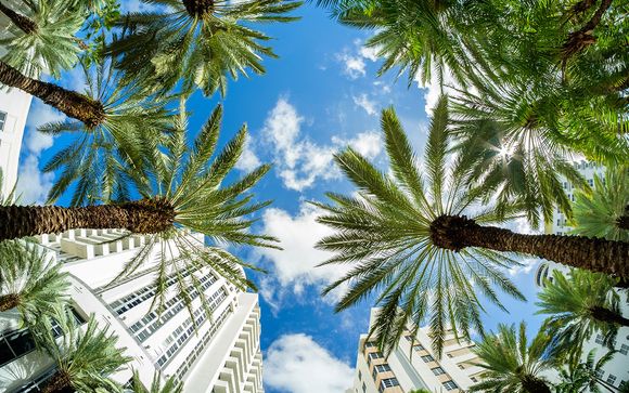 Autotour de New York à Miami avec ou sans extension aux Bahamas