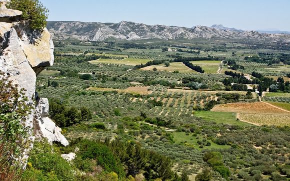 Rendez-vous... dans les Alpilles
