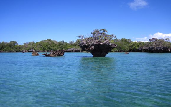 Vos excursions pour plus d