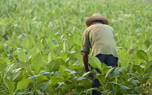 Rendez-vous... à Cuba