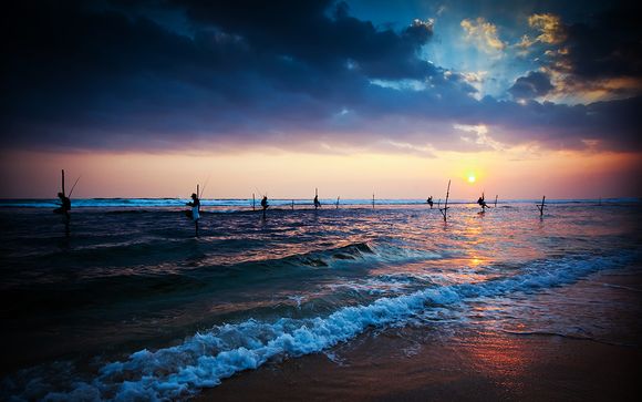 Rendez-vous... au Sri Lanka
