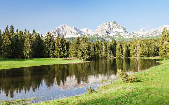 Vos excursions pour plus d