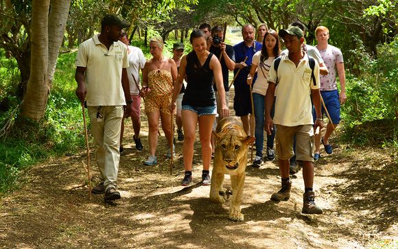 Votre excursion pour plus d'évasion à Maurice