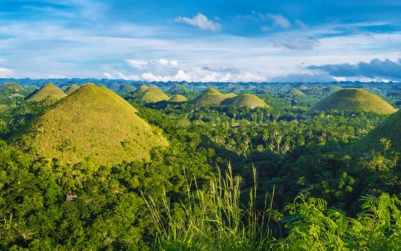 Des rizières en terrasses de Banaue à l’île de Bohol