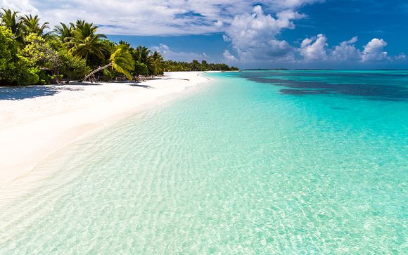 Circuit et Croisière Splendeurs de Floride et des Bahamas