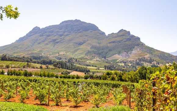 Le vostre escursioni incluse