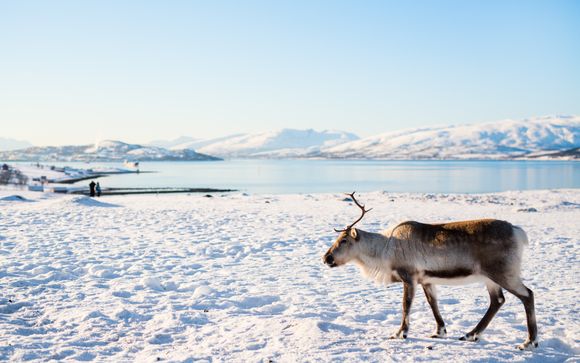 Le tappe del vostro itinerario