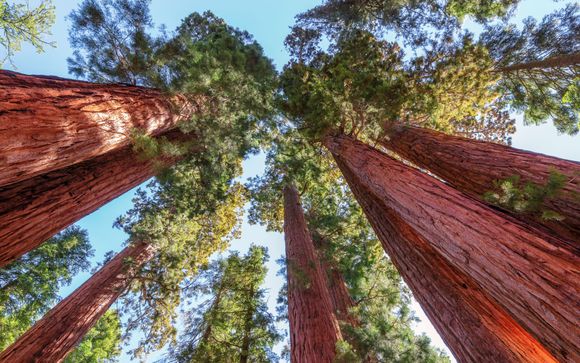 Le tappe del vostro itinerario consigliato