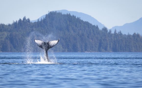 Le tappe del vostro itinerario