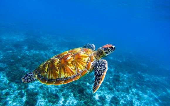 Il vostro itinerario 