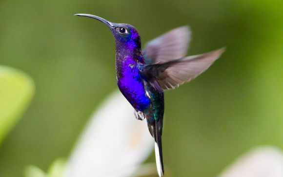 Le tappe del vostro itinerario 