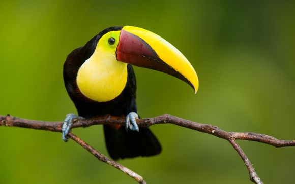 Le tappe del vostro itinerario 