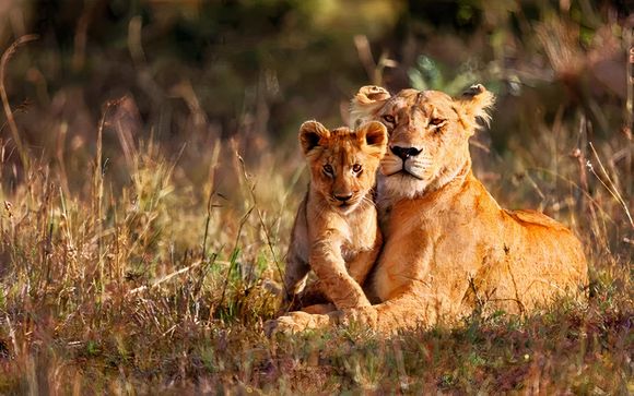 Le tappe del vostro itinerario