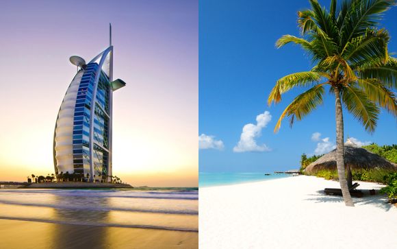 La vostra esperienza in breve