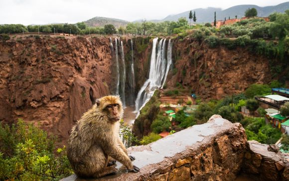 Le tappe del vostro itinerario
