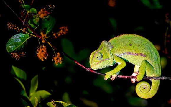 Soggiorno di 5 notti