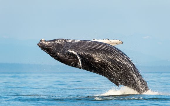 Le tappe del vostro itinerario