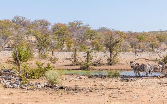 Le tappe del vostro itinerario