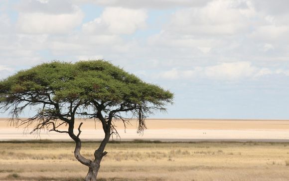 Le tappe del vostro itinerario