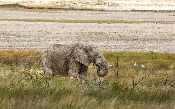Le tappe del vostro itinerario