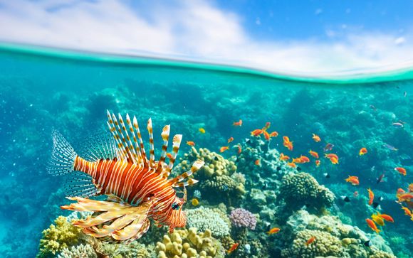 Escursione Sharm El Luli