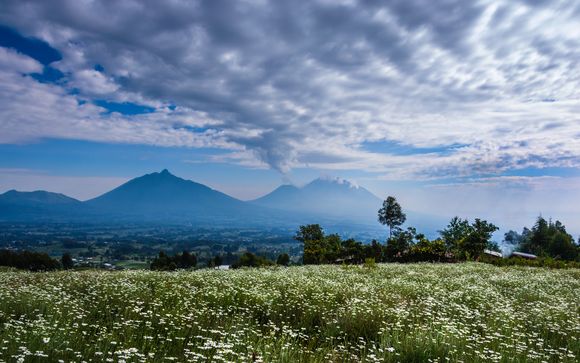 Un'anteprima del vostro viaggio