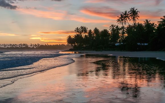Alla scoperta delle coste dello Sri Lanka 