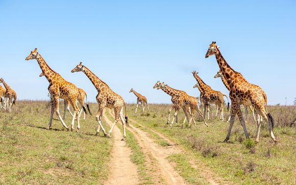 Le tappe del vostro itinerario