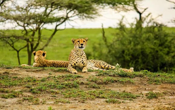 Tutti i volti della Tanzania