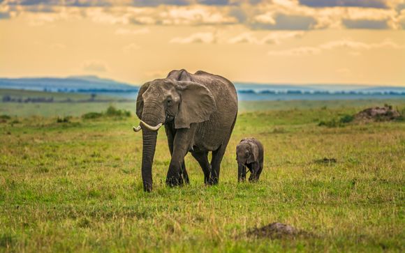 Il meglio della Tanzania in un unico viaggio