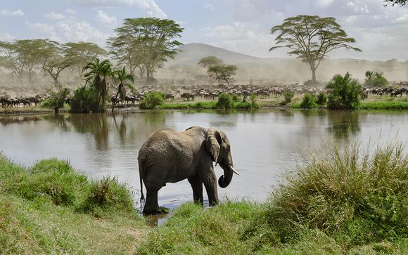 Le tappe del vostro itinerario