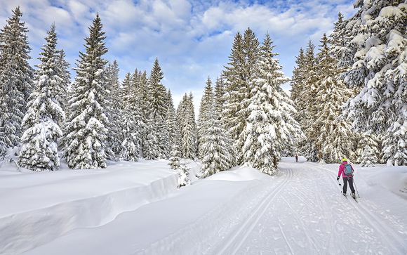 Alla scoperta del Canada