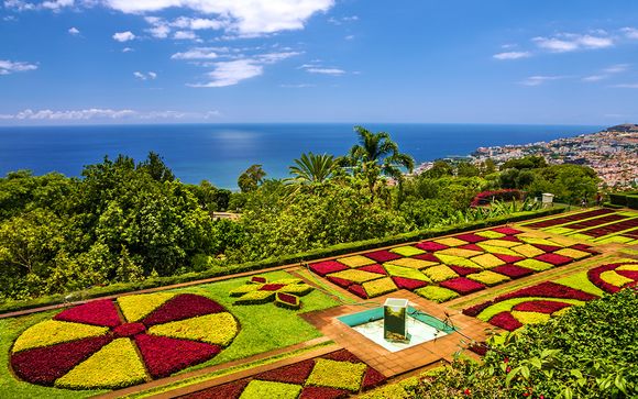 Alla scoperta di Madeira