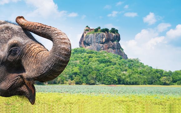 Alla scoperta dello Sri Lanka in tour di 8 o 10 notti