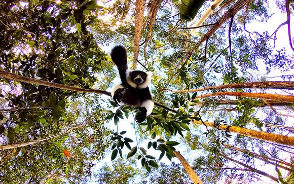Emozionante tour tra le bellezze del Madagascar