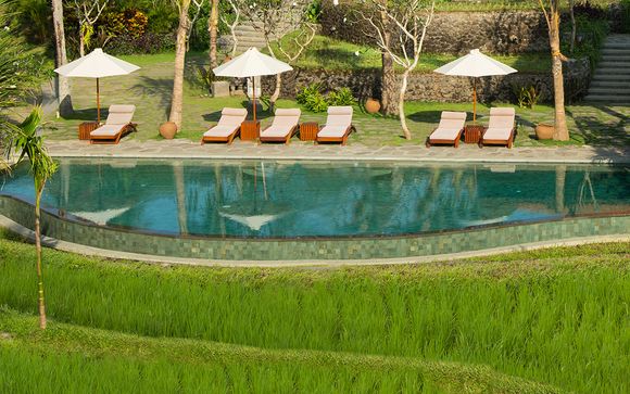 Ubud - Alaya Resort Ubud 4*