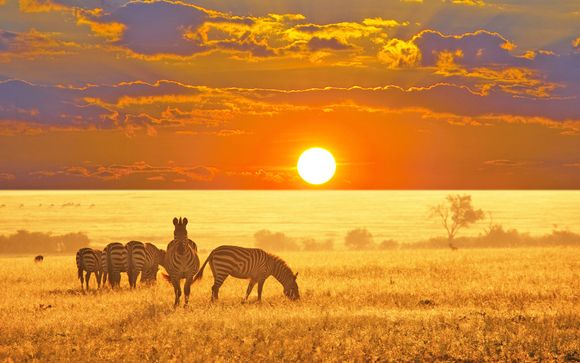 Quintessenza del Sudafrica