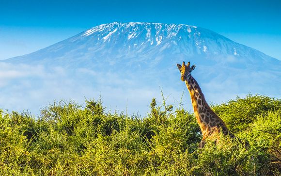 Kifaru Safari & Neptune Pwani Beach Resort & Spa 5*