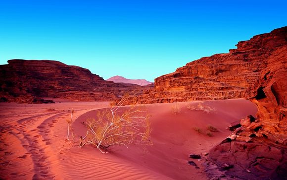 Tour alla scoperta della Giordania con estensione mare a Aqaba