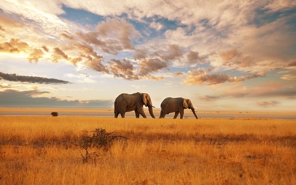 Le meraviglie del Sudafrica +The Westin Turtle Bay Resort & Spa 5*