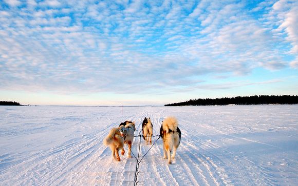 Finlandia d'autore à la carte