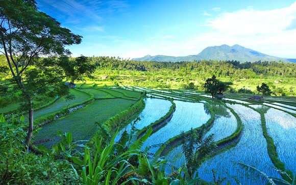 Alla scoperta di Bali