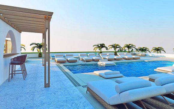 Petri Suites