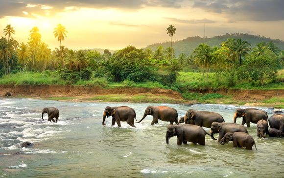 Alla scoperta dello Sri Lanka e delle Maldive