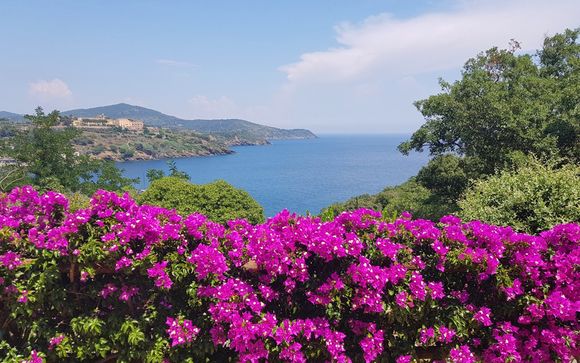 Alla scoperta dell'Isola d'Elba