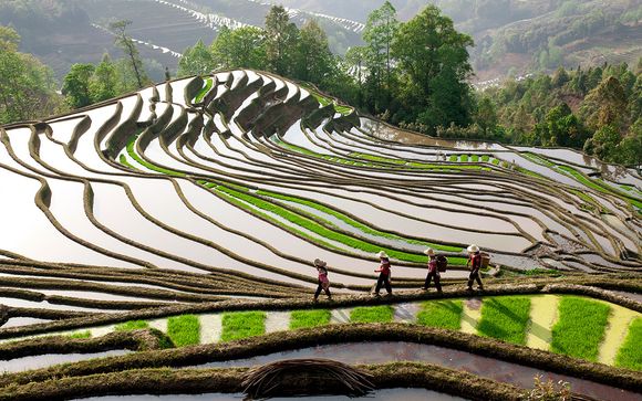 Alla scoperta dell'Indonesia